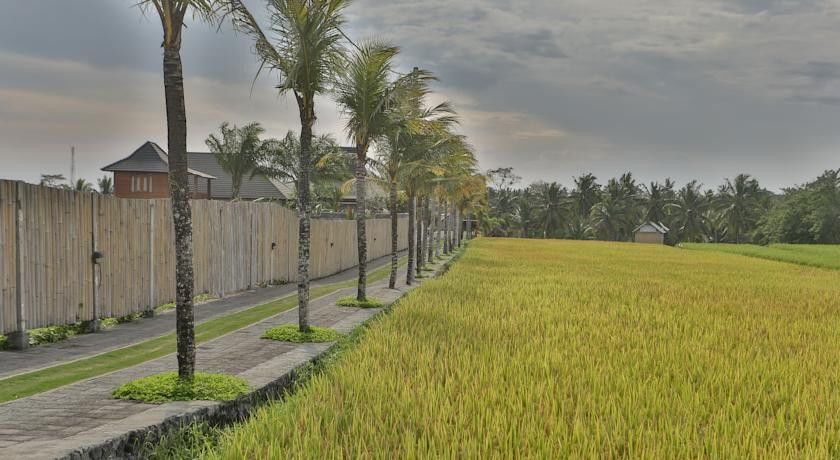 Pertiwi Bisma 1 Hotel Ubud Exterior foto